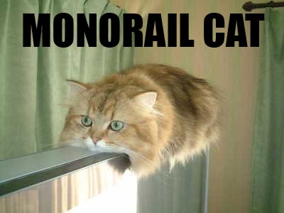 All hail Monorail Cat!